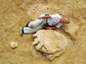 発掘した世界最大級の足跡化石